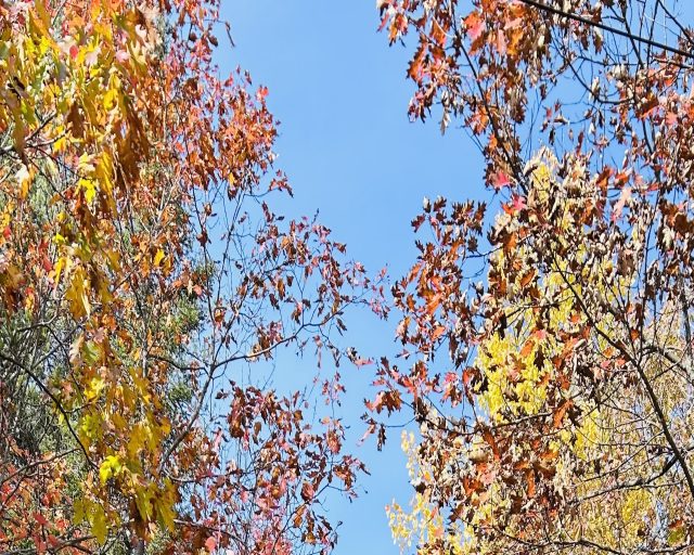 Nos partenaires communautaires